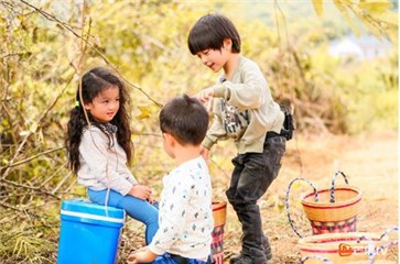 图片说明