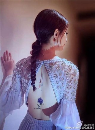 图片说明