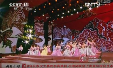 婷婷在央视15套的演出