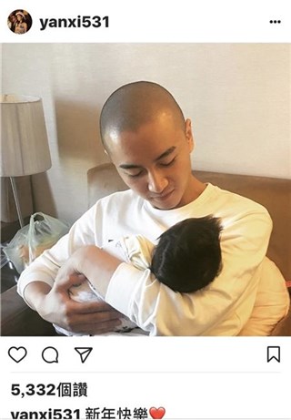 图片说明