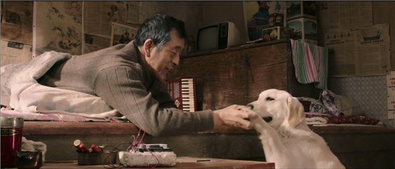 图片说明