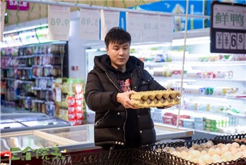 真心院子四天吃一百个鸡蛋