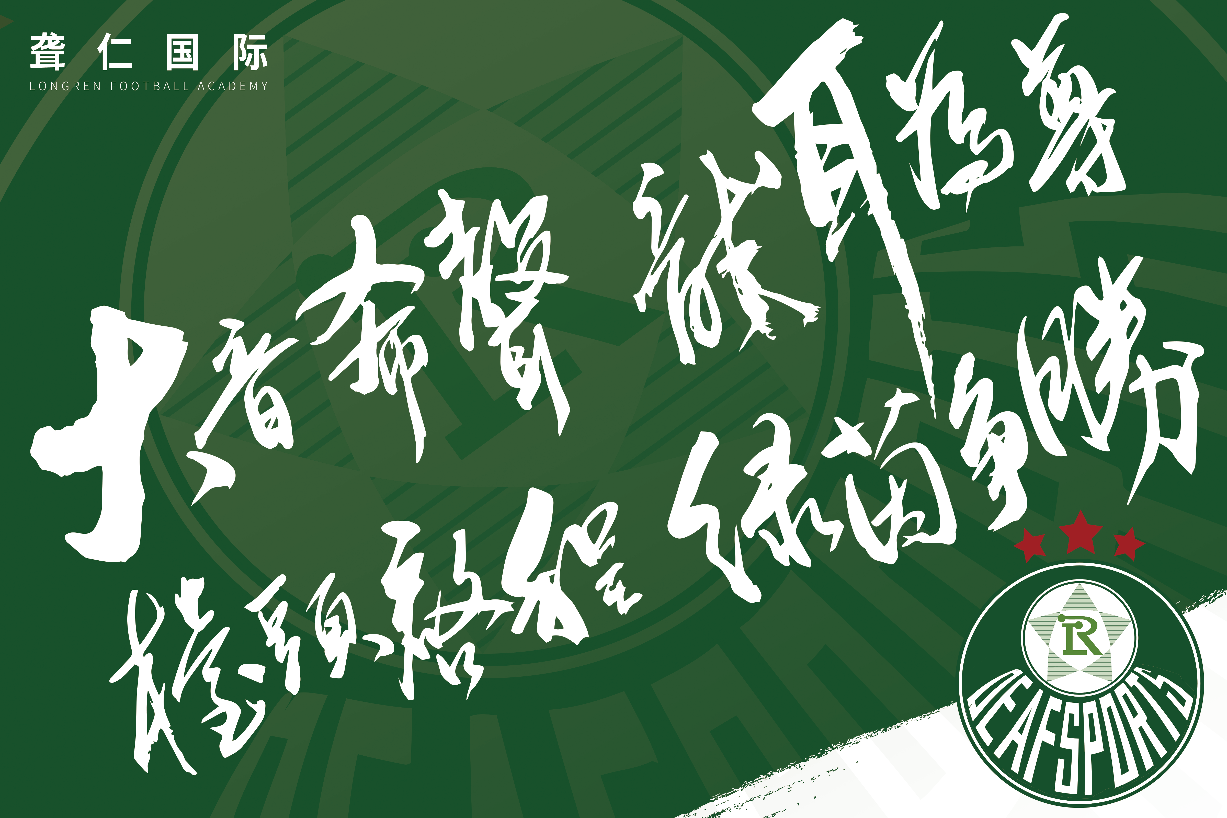 透过电影，我看到一个特别的体育世界，我决定！要将它发扬光大。
