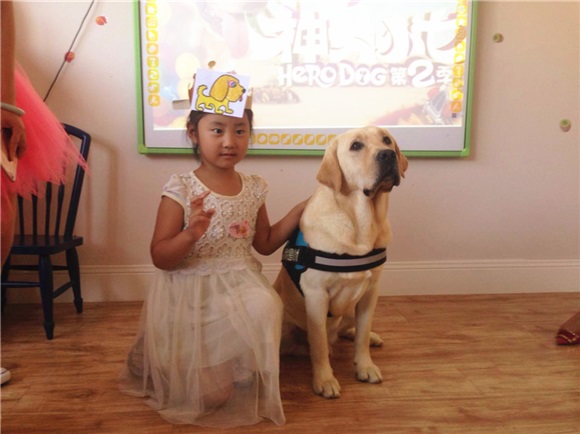 《神犬小七》音乐剧联排在即 七爷开学季送祝福
