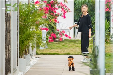 应采儿与萌犬嬉戏