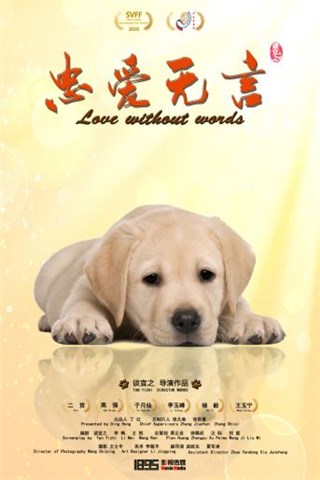 图片说明