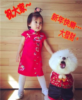 图片说明