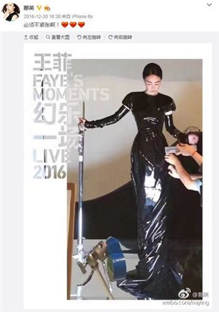 那英替姐妹王菲出气 怒骂网友「杂种狗、烂狗屎」