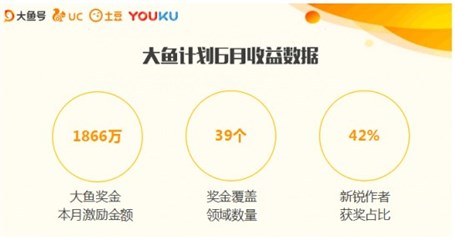 (6月大鱼收益数据图片)