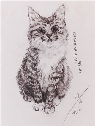 赖美云画的自己的猫