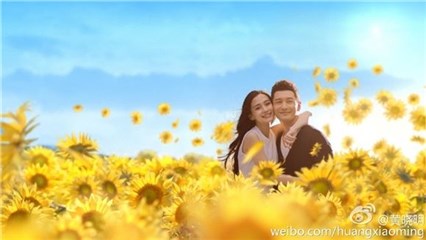演艺圈又有喜？ 网传Angelababy已怀孕 为此推掉名导主持