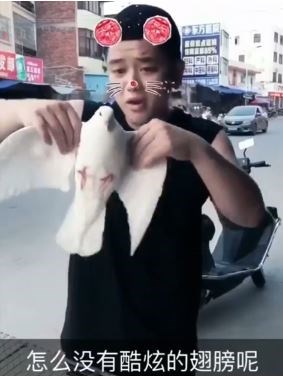 你这麽挑你咋不去掰老鹰翅膀呢?