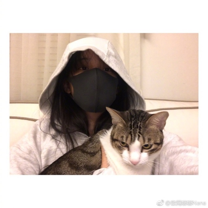 实习崴:欧阳娜娜大战过敏 全副武装陪猫玩