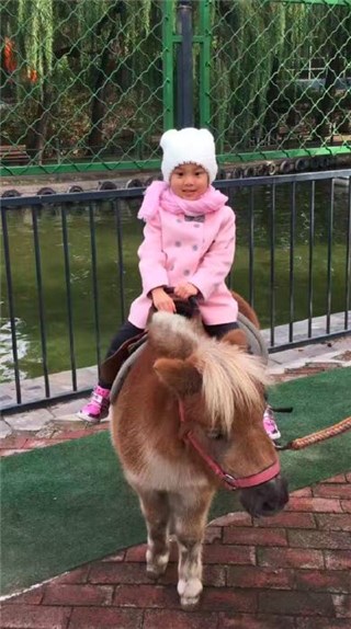 图片说明