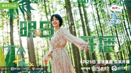杨乐乐