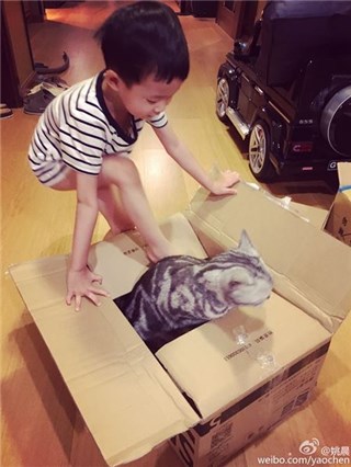 图片说明