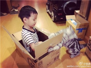 图片说明