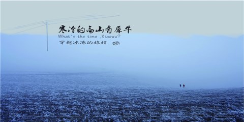 纪录片《寒冷的高山有犀牛》海报