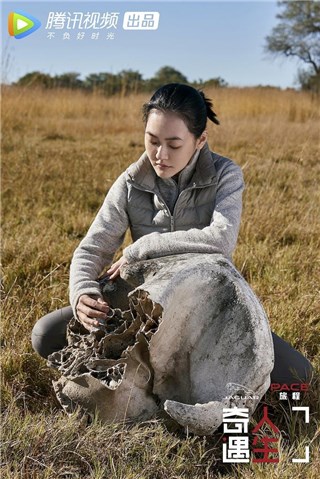 第一季小s探寻大象之旅