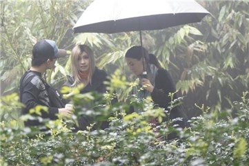 MV导演吓哭钟洁希 ? 淋冬天雨冷痹?
