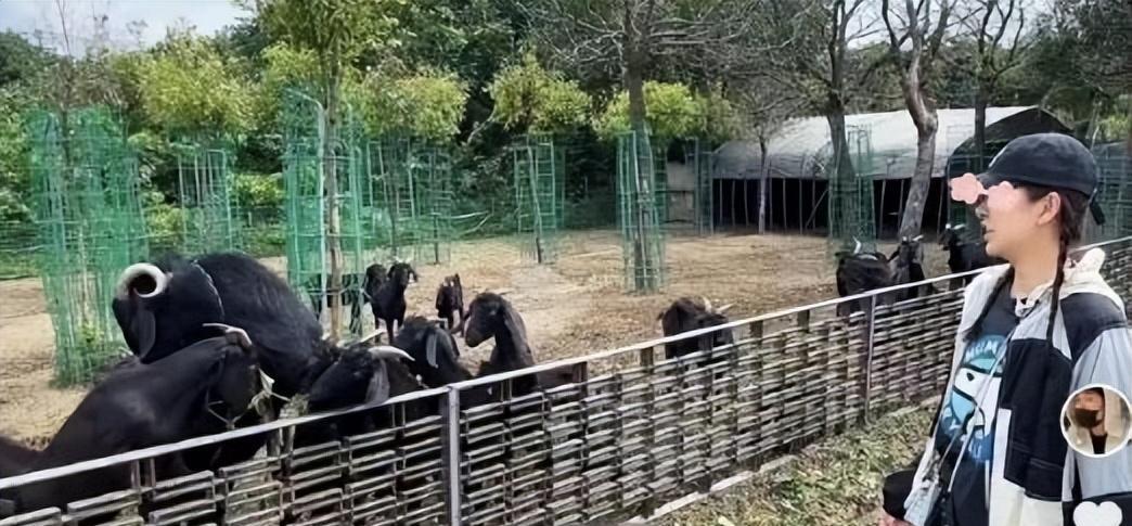 陈赫否认妻子怀三胎 张子萱近照秀小蛮腰破谣言