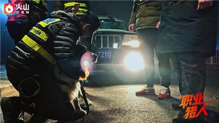宠物搜救队丁老师