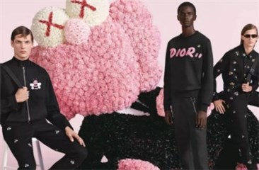 KAWS X Dior