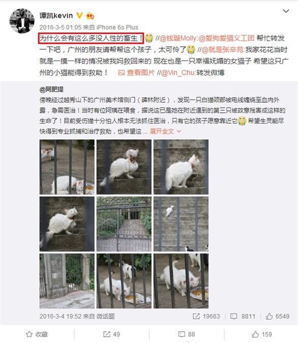 铁汉男星拍戏遇流浪动物 霸气收养回家负责到底