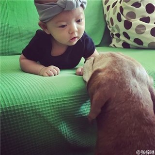 图片说明
