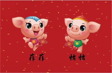 第二届中国非遗春晚吉祥物菲菲、怡怡