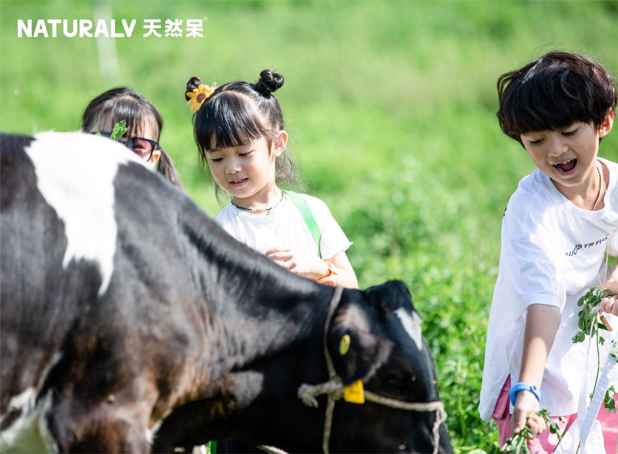 //hqredian.cn/wp-content/uploads/2021/08/03.jpeg插图(3) 03
