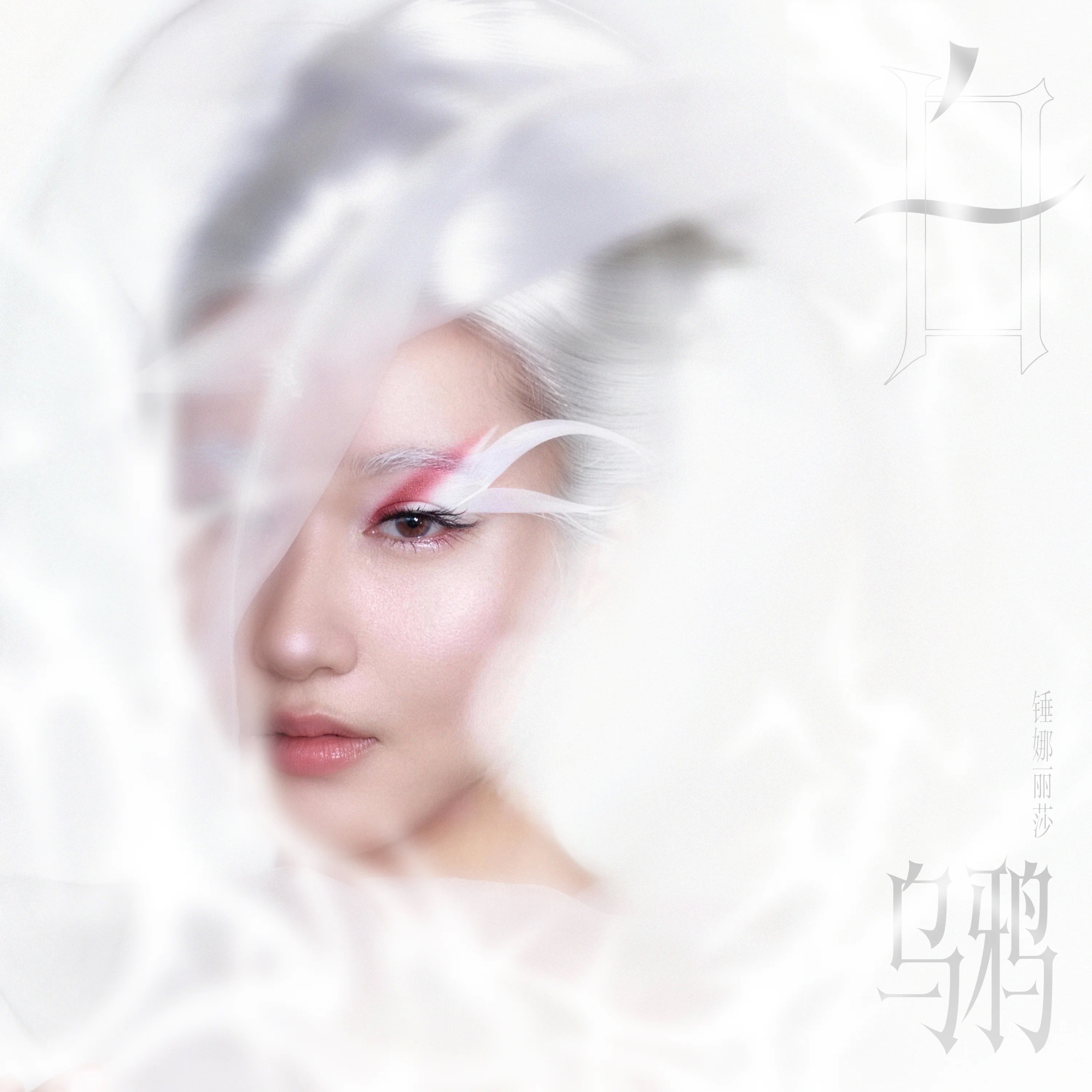 锤娜丽莎十年一梦，终成“白乌鸦”首张个人专辑巨献 格莱美班底打造顶级Diva气场