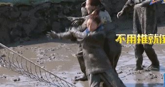 图片说明