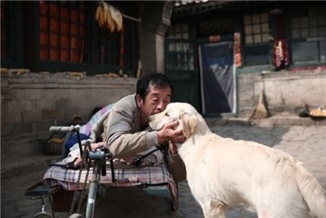 图片说明