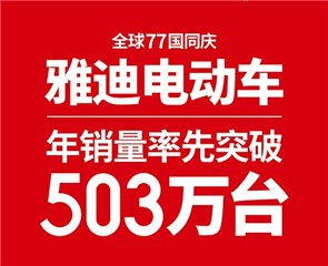 图:雅迪电动车2018年销量