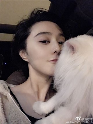 图片说明