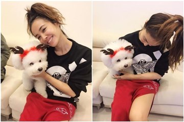 Jolin露腿造福粉丝 爱犬带上麋鹿耳欢度圣诞