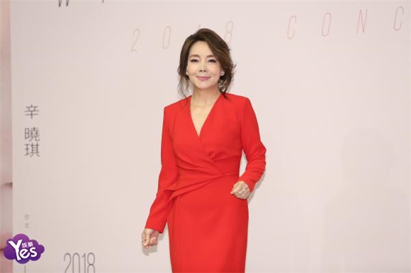 辛晓琪台北小巨蛋演唱会发布会