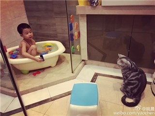 图片说明