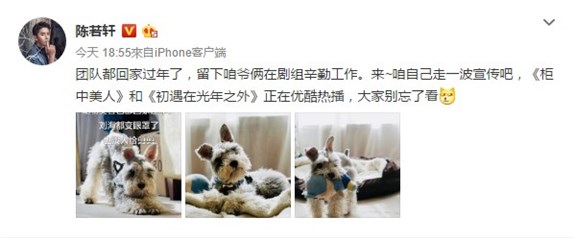 陈若轩微博晒自家狗照片