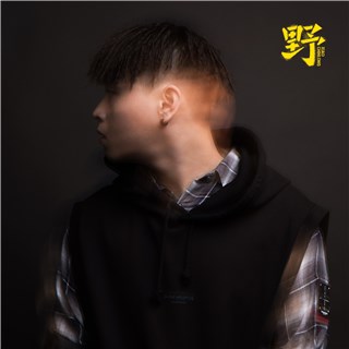 小青龙单曲《野》封面