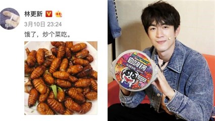 林更新订购蚕蛹啃美食 拆开的画面宛如昆虫饲料箱