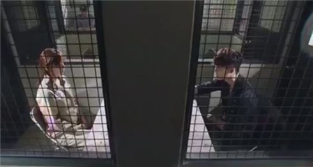 图片说明
