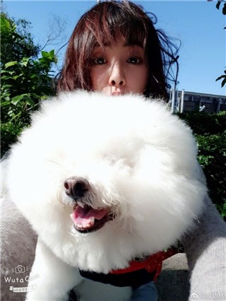 蔡依林带着爱犬屋虎去公园玩耍 晒太阳元气满满