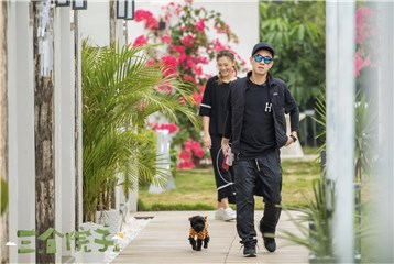 陈小春应采儿散步