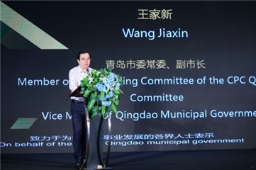 青岛市委常委、副市长王家新