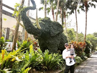 图片说明
