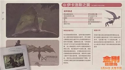 图片说明