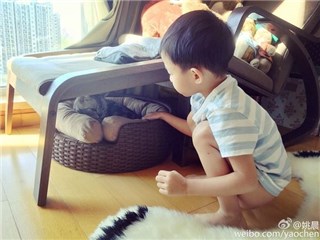 图片说明