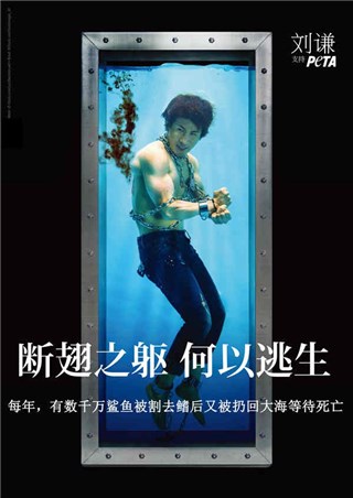 刘谦困水底双手被锁 化身淌血鲨鱼